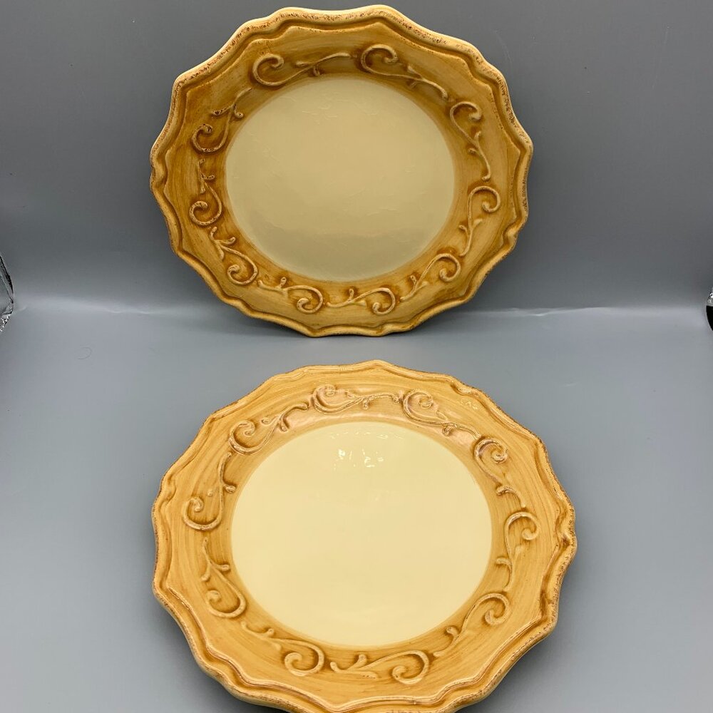 Set of 2  Pier1 Gemma Baroque Hand-painted Earthenware Salad Plates 9"